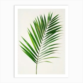 Palm Leaf 3 Art Print