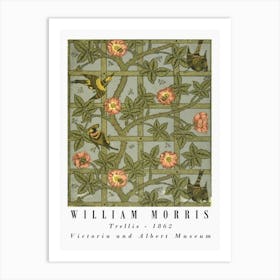 William Morris strawberry thief 1 Art Print