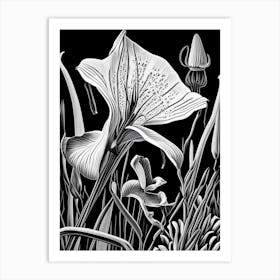 Mariposa Lily Wildflower Linocut 1 Art Print