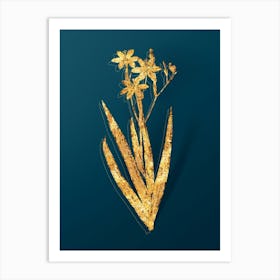 Vintage Blackberry Lily Botanical in Gold on Teal Blue n.0096 Art Print