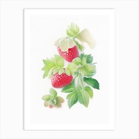 Alpine Strawberries, Plant, Pastel Watercolour Art Print
