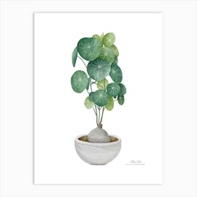 Cyclamen.A fine artistic print that decorates the place. Art Print