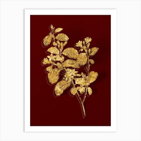Vintage Snowdrop Bush Botanical in Gold on Red n.0504 Art Print