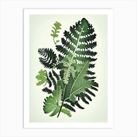 Grape Fern Wildflower Vintage Botanical 2 Art Print