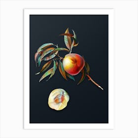 Vintage Peach Botanical Watercolor Illustration on Dark Teal Blue n.0165 Art Print