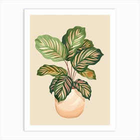 Calathea Plant Minimalist Illustration 5 Art Print