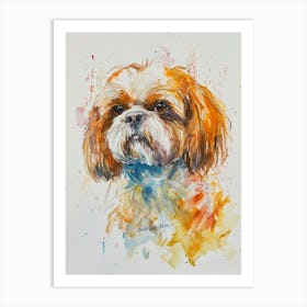 Shih Tzu Watercolor Painting 2 Art Print