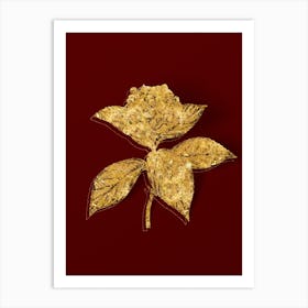 Vintage French Hydrangea Botanical in Gold on Red n.0225 Art Print