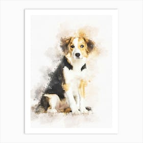 Border Collie Dog 3 Art Print