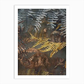 Earthy Ferns 1 Art Print