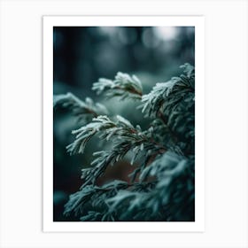 Winter Impressions No 1 Art Print