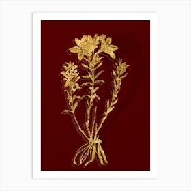 Vintage Lily of the Incas Botanical in Gold on Red n.0587 Art Print