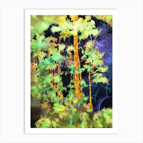 Forest At Night Art Print