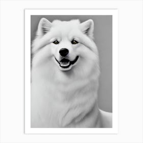 Samoyed B&W Pencil Dog Art Print