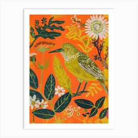 Spring Birds Kiwi 1 Art Print