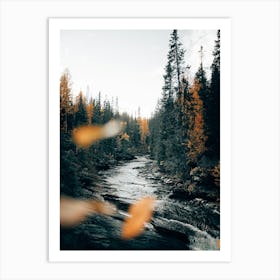 Wild rivers and forests Art Print