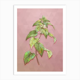 Vintage White Dead Nettle Plant Botanical Art on Crystal Rose n.1913 Art Print