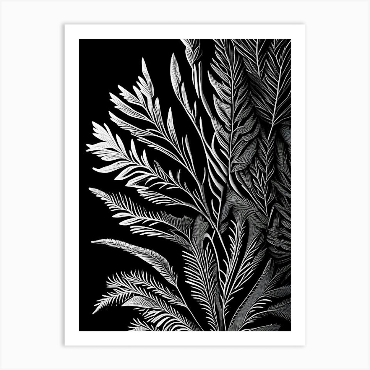 Pine Needle Leaf Linocut 1 Art Print