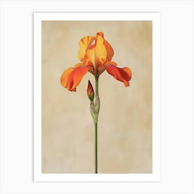 2024 May Poster Canvas Sng Iris 34 Art Print