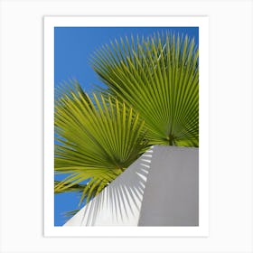 Green palm leaves and blue sky Art Print