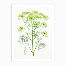 Dill Vintage Botanical Herbs 2 Art Print