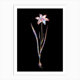 Stained Glass Lady Tulip Mosaic Botanical Illustration on Black n.0250 Art Print