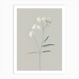 Meadowsweet Herb Simplicity Art Print