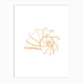 Seashell 2 Art Print