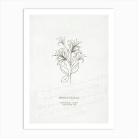 Honeysuckle Birth Flower | Antique Art Print