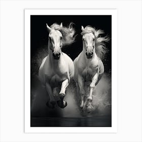Two White Horses Running 2 Art Print