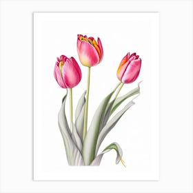 Tulip Floral Quentin Blake Inspired Illustration 4 Flower Art Print