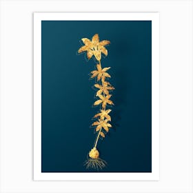 Vintage Wood Lily Botanical in Gold on Teal Blue n.0107 Art Print