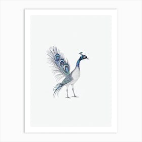 Peacock B&W Pencil Drawing 1 Bird Art Print