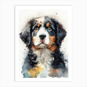 Bernese Mountain Dog Art Print