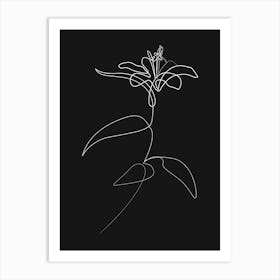 Lily 0724 Black Art Print