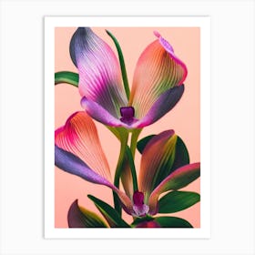 Lady Slipper Orchid Colourful Illustration Art Print