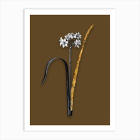 Vintage Cowslip Cupped Daffodil Black and White Gold Leaf Floral Art on Coffee Brown n.0791 Art Print