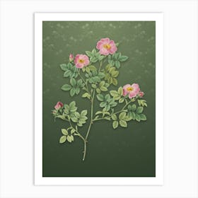 Vintage Rose Corymb Botanical on Lunar Green Pattern Art Print