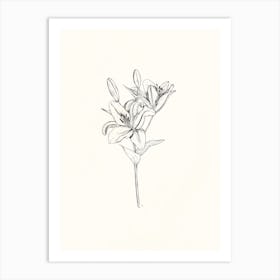 Lily Ink Drawing Art Print