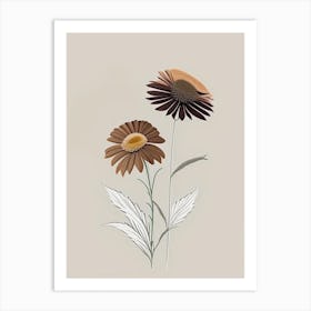 Echinacea Spices And Herbs Retro Minimal 5 Art Print