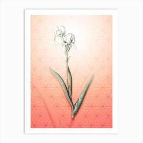 Tall Bearded Iris Vintage Botanical in Peach Fuzz Asanoha Star Pattern n.0205 Art Print