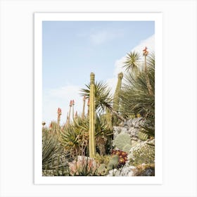 Tropical Cactus Plants Art Print