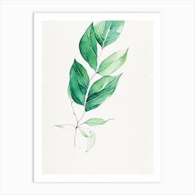 Wintergreen Leaf Minimalist Watercolour 5 Art Print