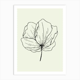 Flower Drawing Art Print
