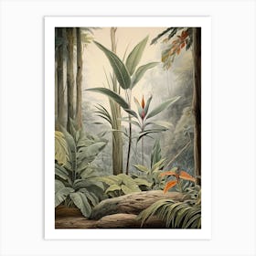Vintage Jungle Botanical Illustration Bird Of Paradise 2 Art Print