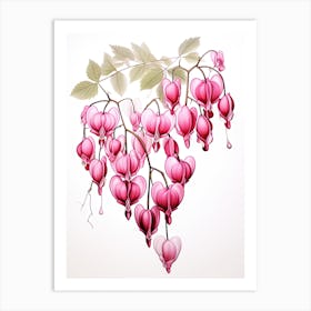 Bleeding Hearts Flower Vintage Botanical 2 Art Print