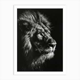 Barbary Lion Charcoal Drawing Night Hunt 4 Art Print