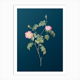 Vintage Pink Austrian Copper Rose Botanical Art on Teal Blue n.0167 Art Print