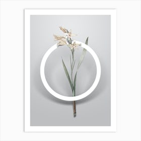 Vintage Gladiolus Cuspidatus Minimalist Botanical Geometric Circle on Soft Gray n.0408 Art Print