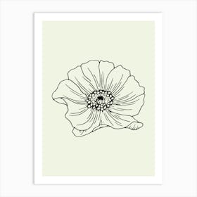 Anemone Flower Art Print